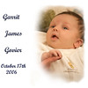 Garrit's Book : 
